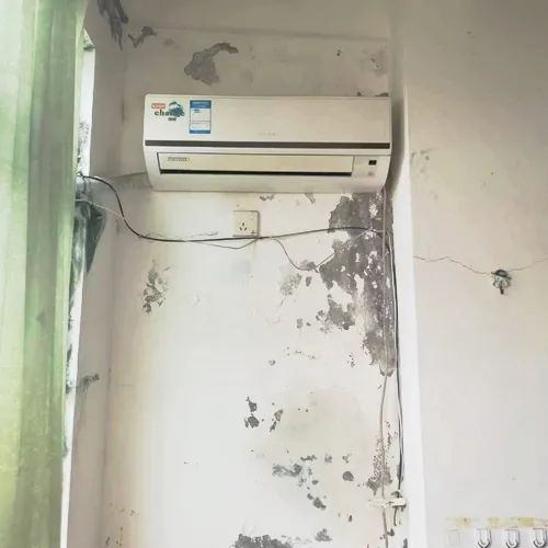 墙壁大面积发霉.jpg