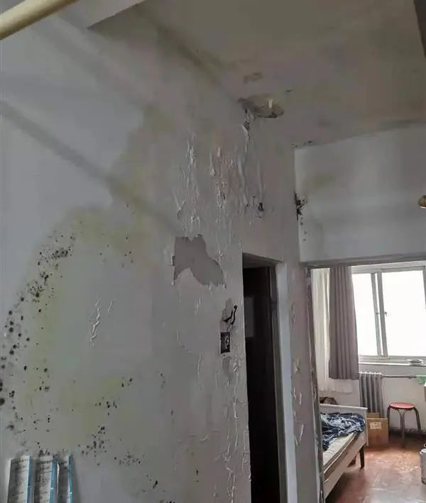 整片墙面大面积渗漏，出现霉斑.jpg